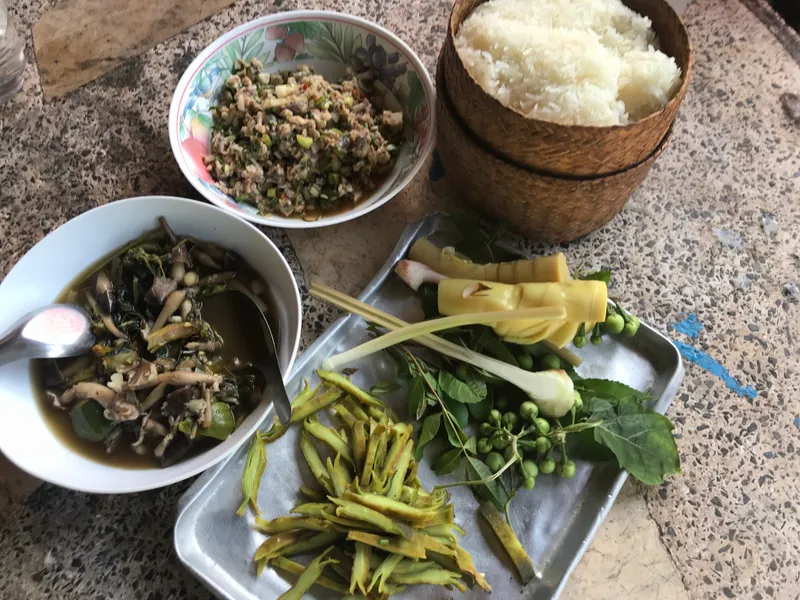 Sticky rice, larb, and foraged greens — a home spread
