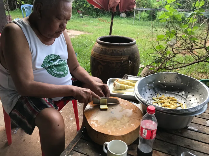Trimming bamboo shoots in the backyard