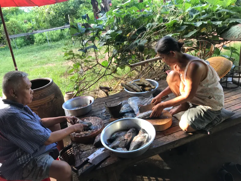 Cleaning fresh fish together outside